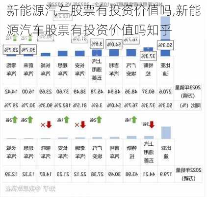 新能源汽车股票有投资价值吗,新能源汽车股票有投资价值吗知乎-第3张图片-苏希特新能源