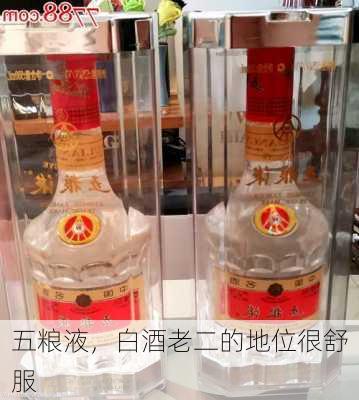 五粮液，白酒老二的地位很舒服-第2张图片-苏希特新能源