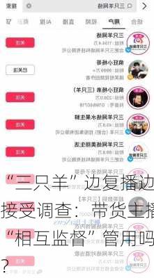 “三只羊”边复播边接受调查：带货主播“相互监督”管用吗？-第1张图片-苏希特新能源