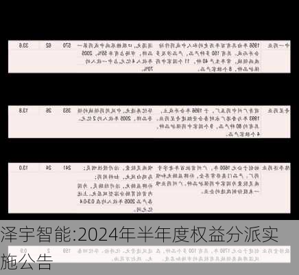 泽宇智能:2024年半年度权益分派实施公告-第1张图片-苏希特新能源