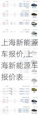 上海新能源车报价,上海新能源车报价表-第2张图片-苏希特新能源