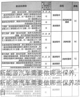 新能源汽车需要做哪些保养,新能源汽车需要做哪些保养项目-第3张图片-苏希特新能源