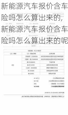 新能源汽车报价含车险吗怎么算出来的,新能源汽车报价含车险吗怎么算出来的呢-第1张图片-苏希特新能源