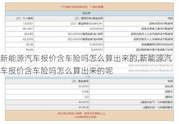 新能源汽车报价含车险吗怎么算出来的,新能源汽车报价含车险吗怎么算出来的呢-第3张图片-苏希特新能源