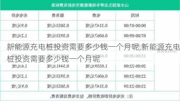 新能源充电桩投资需要多少钱一个月呢,新能源充电桩投资需要多少钱一个月呢-第1张图片-苏希特新能源