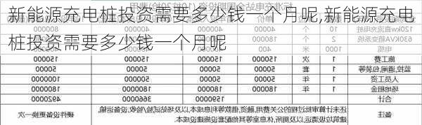 新能源充电桩投资需要多少钱一个月呢,新能源充电桩投资需要多少钱一个月呢-第2张图片-苏希特新能源