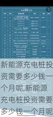 新能源充电桩投资需要多少钱一个月呢,新能源充电桩投资需要多少钱一个月呢-第3张图片-苏希特新能源