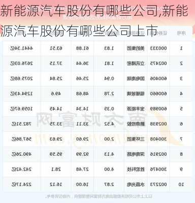 新能源汽车股份有哪些公司,新能源汽车股份有哪些公司上市-第1张图片-苏希特新能源