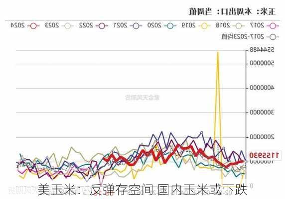 美玉米：反弹存空间 国内玉米或下跌-第2张图片-苏希特新能源