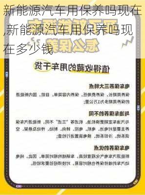 新能源汽车用保养吗现在,新能源汽车用保养吗现在多少钱-第1张图片-苏希特新能源