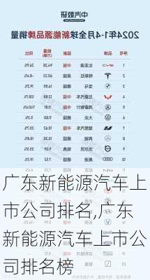 广东新能源汽车上市公司排名,广东新能源汽车上市公司排名榜-第2张图片-苏希特新能源