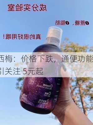 西梅：价格下跌，通便功能引关注 5元起