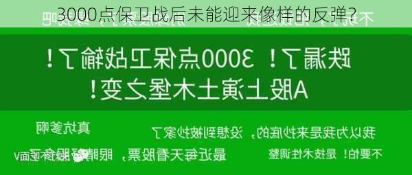 3000点保卫战后未能迎来像样的反弹？-第1张图片-苏希特新能源