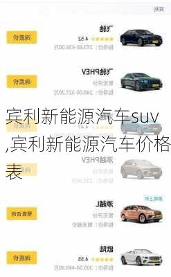 宾利新能源汽车suv,宾利新能源汽车价格表-第2张图片-苏希特新能源