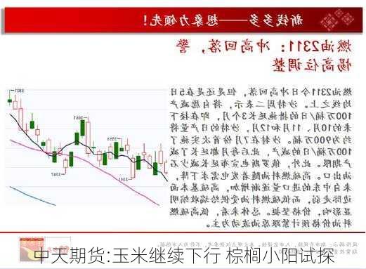 中天期货:玉米继续下行 棕榈小阳试探-第1张图片-苏希特新能源