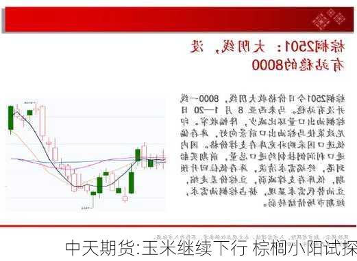 中天期货:玉米继续下行 棕榈小阳试探-第3张图片-苏希特新能源