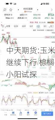 中天期货:玉米继续下行 棕榈小阳试探-第2张图片-苏希特新能源