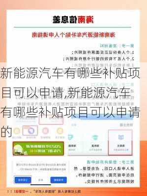 新能源汽车有哪些补贴项目可以申请,新能源汽车有哪些补贴项目可以申请的-第2张图片-苏希特新能源