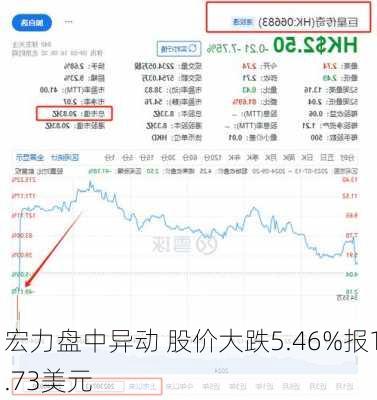 宏力盘中异动 股价大跌5.46%报1.73美元-第2张图片-苏希特新能源