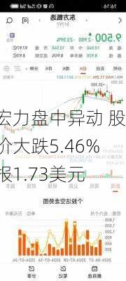 宏力盘中异动 股价大跌5.46%报1.73美元-第1张图片-苏希特新能源