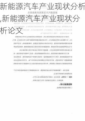 新能源汽车产业现状分析,新能源汽车产业现状分析论文-第3张图片-苏希特新能源