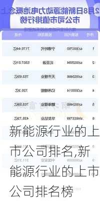 新能源行业的上市公司排名,新能源行业的上市公司排名榜-第2张图片-苏希特新能源