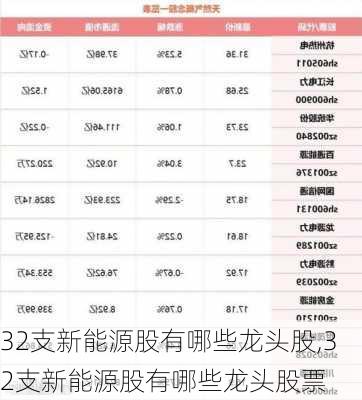 32支新能源股有哪些龙头股,32支新能源股有哪些龙头股票-第3张图片-苏希特新能源