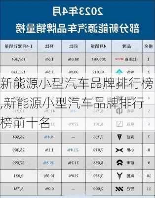 新能源小型汽车品牌排行榜,新能源小型汽车品牌排行榜前十名-第3张图片-苏希特新能源