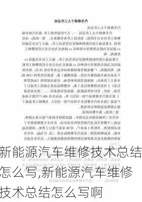 新能源汽车维修技术总结怎么写,新能源汽车维修技术总结怎么写啊-第2张图片-苏希特新能源