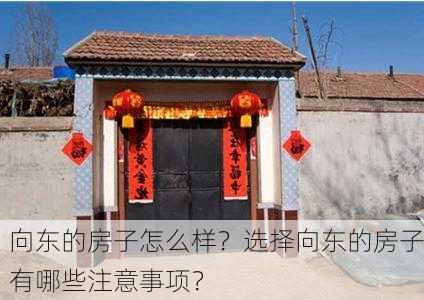 向东的房子怎么样？选择向东的房子有哪些注意事项？-第3张图片-苏希特新能源