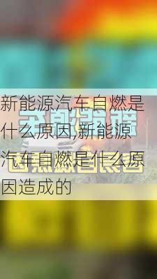 新能源汽车自燃是什么原因,新能源汽车自燃是什么原因造成的-第2张图片-苏希特新能源