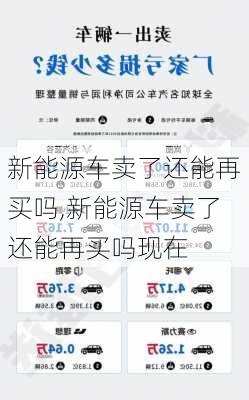 新能源车卖了还能再买吗,新能源车卖了还能再买吗现在-第2张图片-苏希特新能源