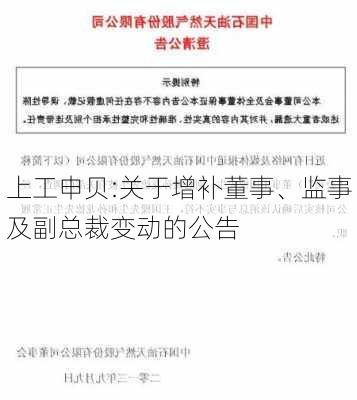 上工申贝:关于增补董事、监事及副总裁变动的公告-第1张图片-苏希特新能源