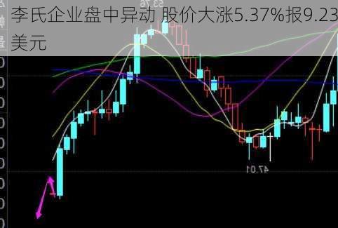 李氏企业盘中异动 股价大涨5.37%报9.23美元-第1张图片-苏希特新能源