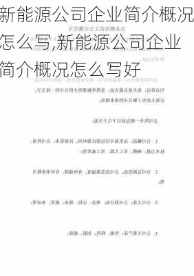 新能源公司企业简介概况怎么写,新能源公司企业简介概况怎么写好-第1张图片-苏希特新能源