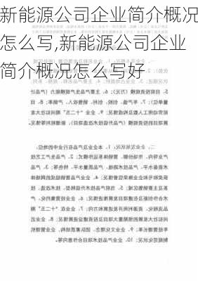 新能源公司企业简介概况怎么写,新能源公司企业简介概况怎么写好-第2张图片-苏希特新能源