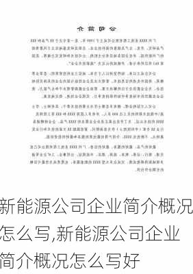 新能源公司企业简介概况怎么写,新能源公司企业简介概况怎么写好-第3张图片-苏希特新能源