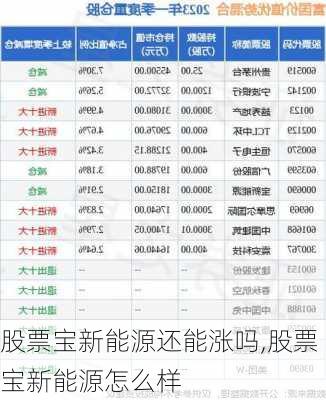 股票宝新能源还能涨吗,股票宝新能源怎么样-第1张图片-苏希特新能源