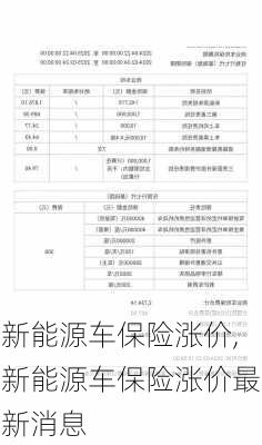 新能源车保险涨价,新能源车保险涨价最新消息