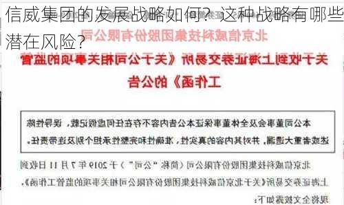 信威集团的发展战略如何？这种战略有哪些潜在风险？-第2张图片-苏希特新能源