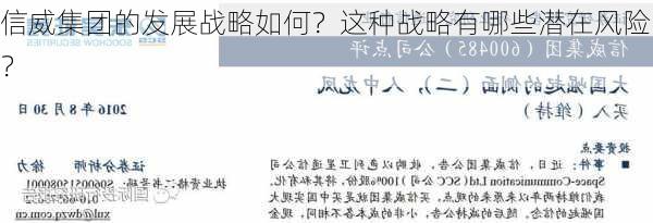 信威集团的发展战略如何？这种战略有哪些潜在风险？-第3张图片-苏希特新能源