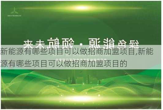 新能源有哪些项目可以做招商加盟项目,新能源有哪些项目可以做招商加盟项目的-第1张图片-苏希特新能源