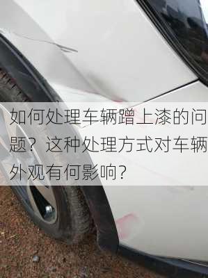 如何处理车辆蹭上漆的问题？这种处理方式对车辆外观有何影响？-第2张图片-苏希特新能源