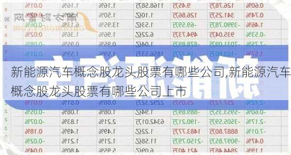 新能源汽车概念股龙头股票有哪些公司,新能源汽车概念股龙头股票有哪些公司上市-第3张图片-苏希特新能源