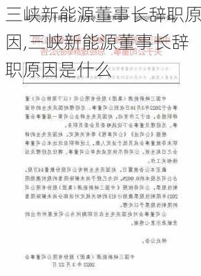 三峡新能源董事长辞职原因,三峡新能源董事长辞职原因是什么-第1张图片-苏希特新能源