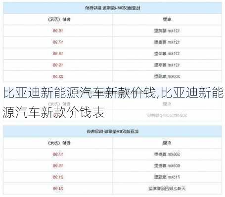 比亚迪新能源汽车新款价钱,比亚迪新能源汽车新款价钱表-第2张图片-苏希特新能源