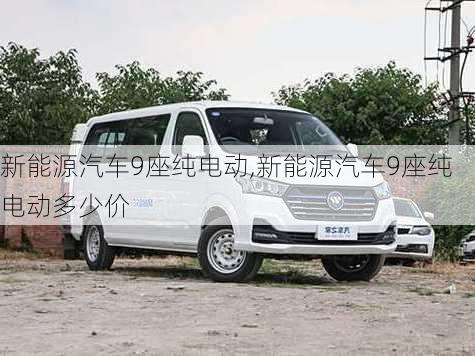 新能源汽车9座纯电动,新能源汽车9座纯电动多少价