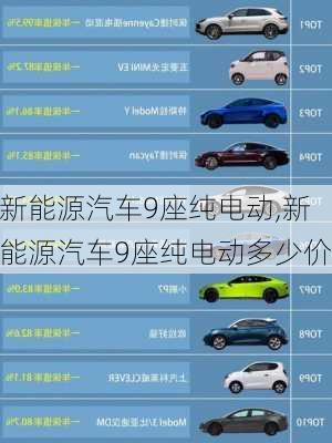 新能源汽车9座纯电动,新能源汽车9座纯电动多少价-第2张图片-苏希特新能源