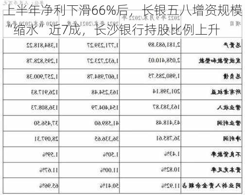 上半年净利下滑66%后，长银五八增资规模“缩水”近7成，长沙银行持股比例上升-第2张图片-苏希特新能源