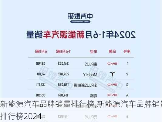 新能源汽车品牌销量排行榜,新能源汽车品牌销量排行榜2024-第3张图片-苏希特新能源